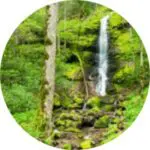 Little-Fall-Branch-Falls