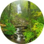 Log-Hollow-Falls