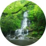 Tom-Branch-Falls