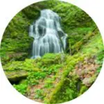 Trillium-Falls