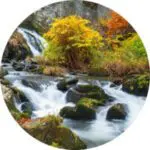 Whiteoak-Falls